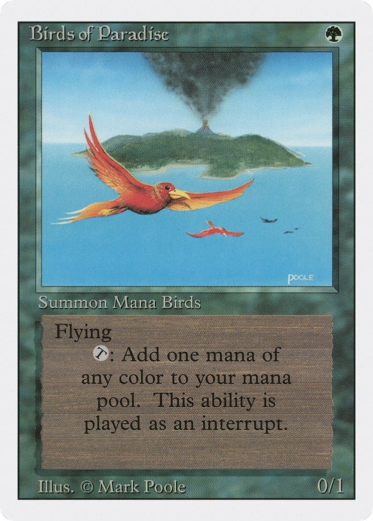 Birds of Paradise - Image 1
