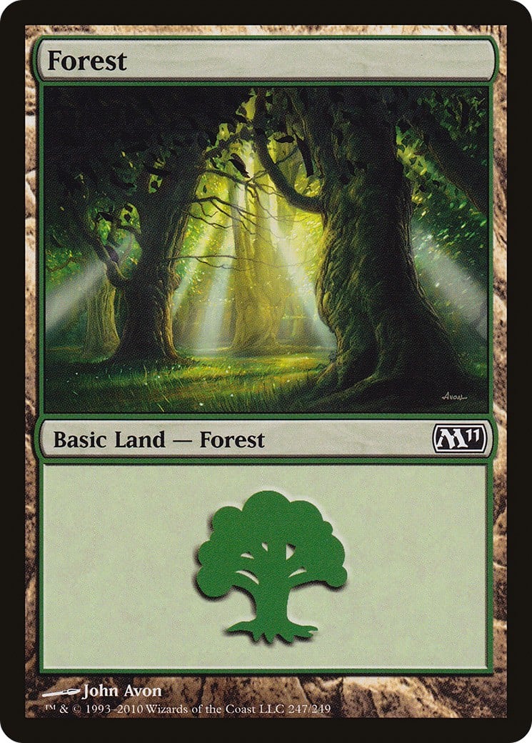 Forest - Image 1