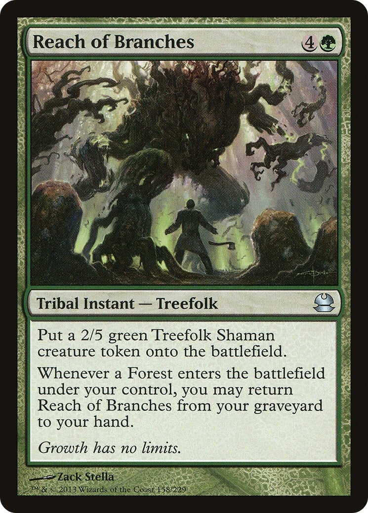 Reach of Branches - Image 1