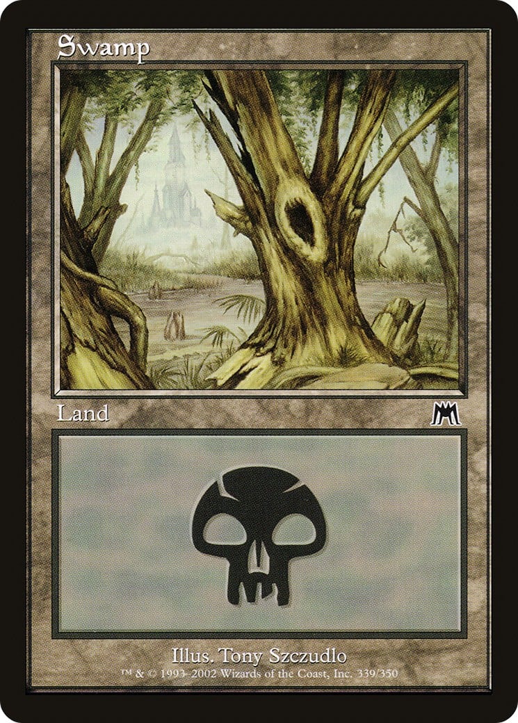 Swamp - Image 1