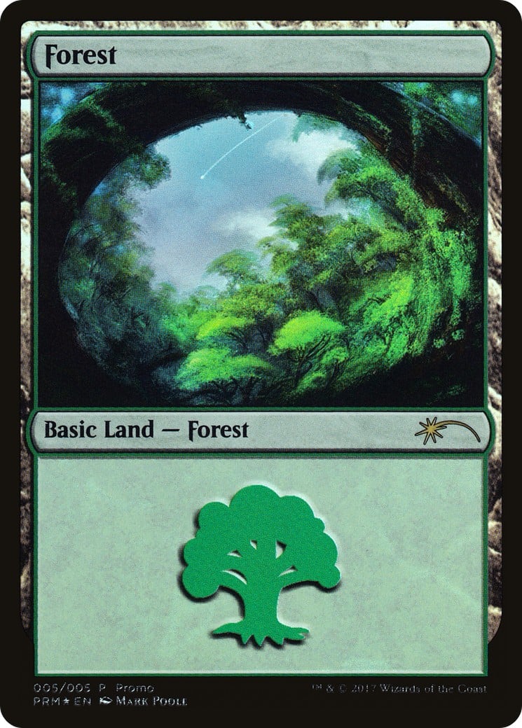 Forest - Image 1
