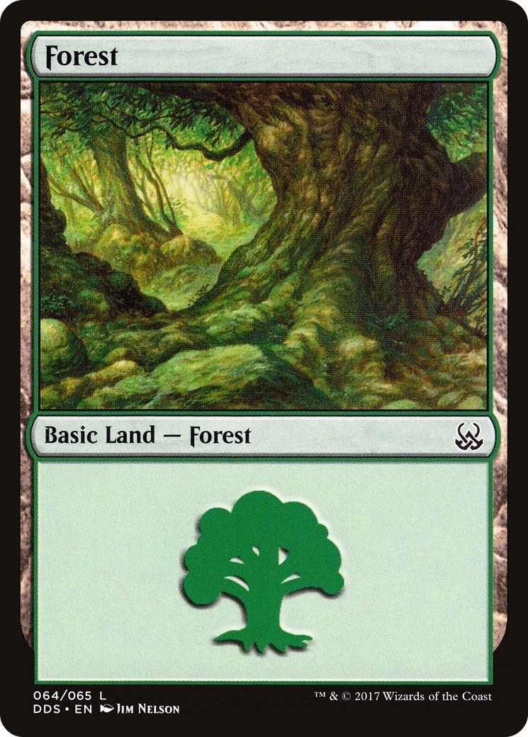 Forest - Image 1