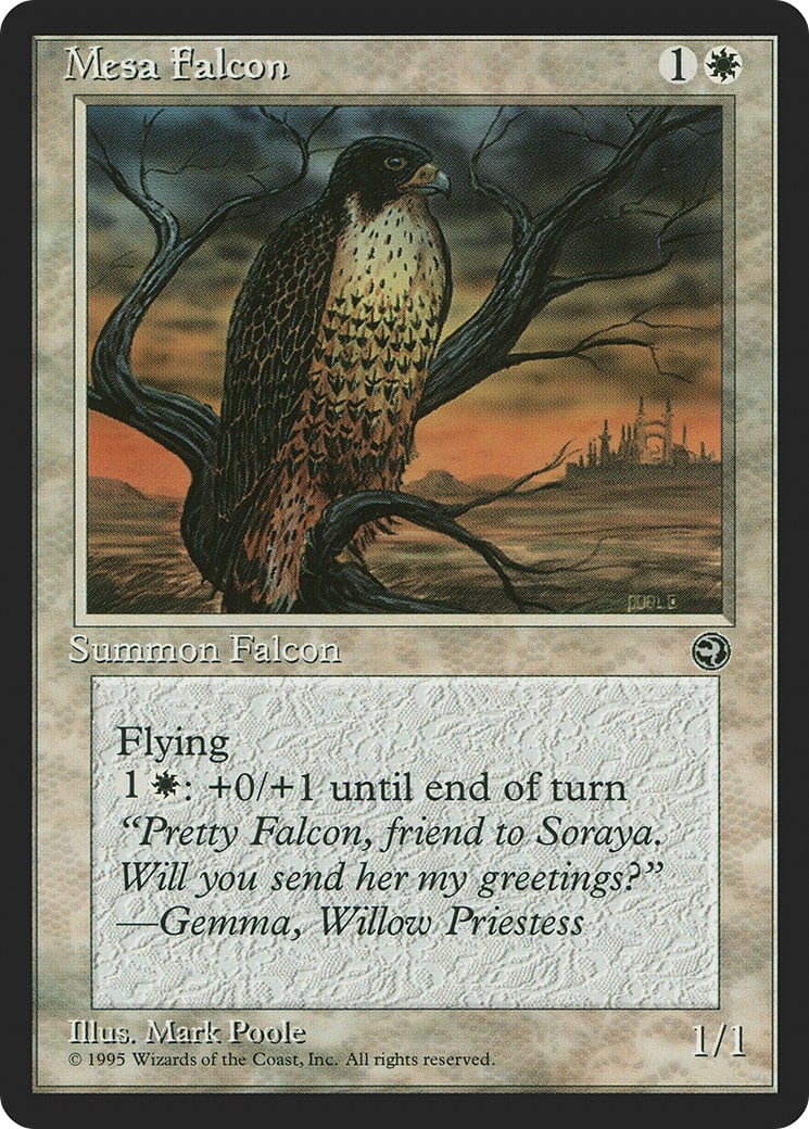 Mesa Falcon - Image 1