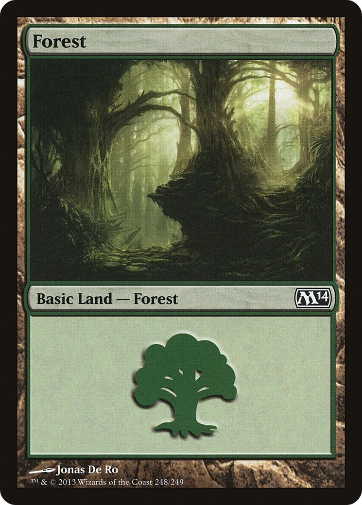 Forest - Image 1