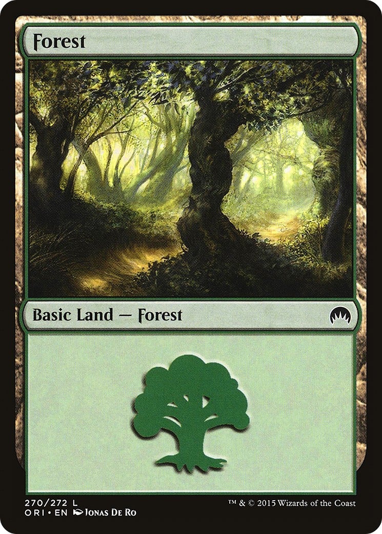 Forest - Image 1