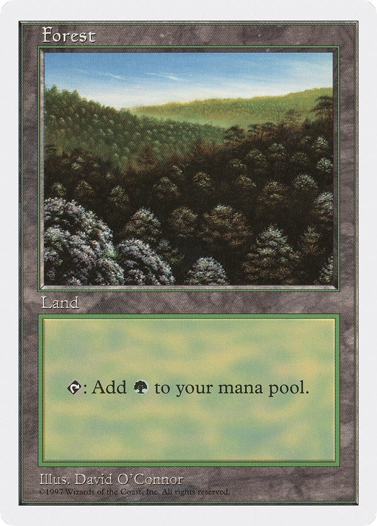 Forest - Image 1