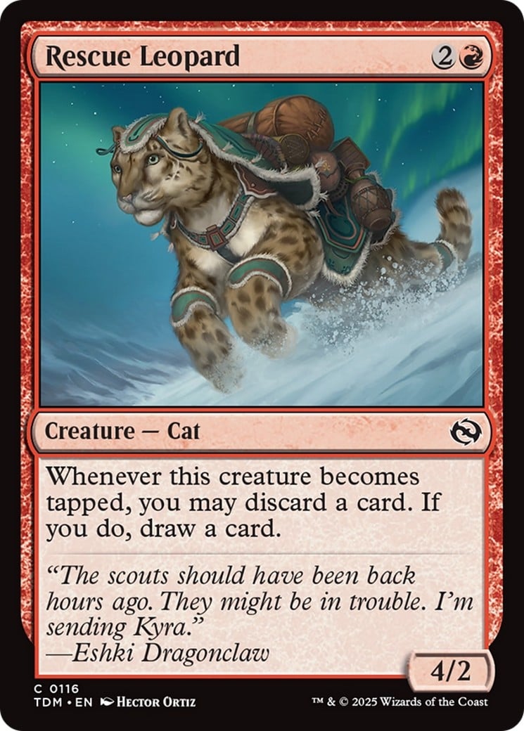Rescue Leopard - Image 1