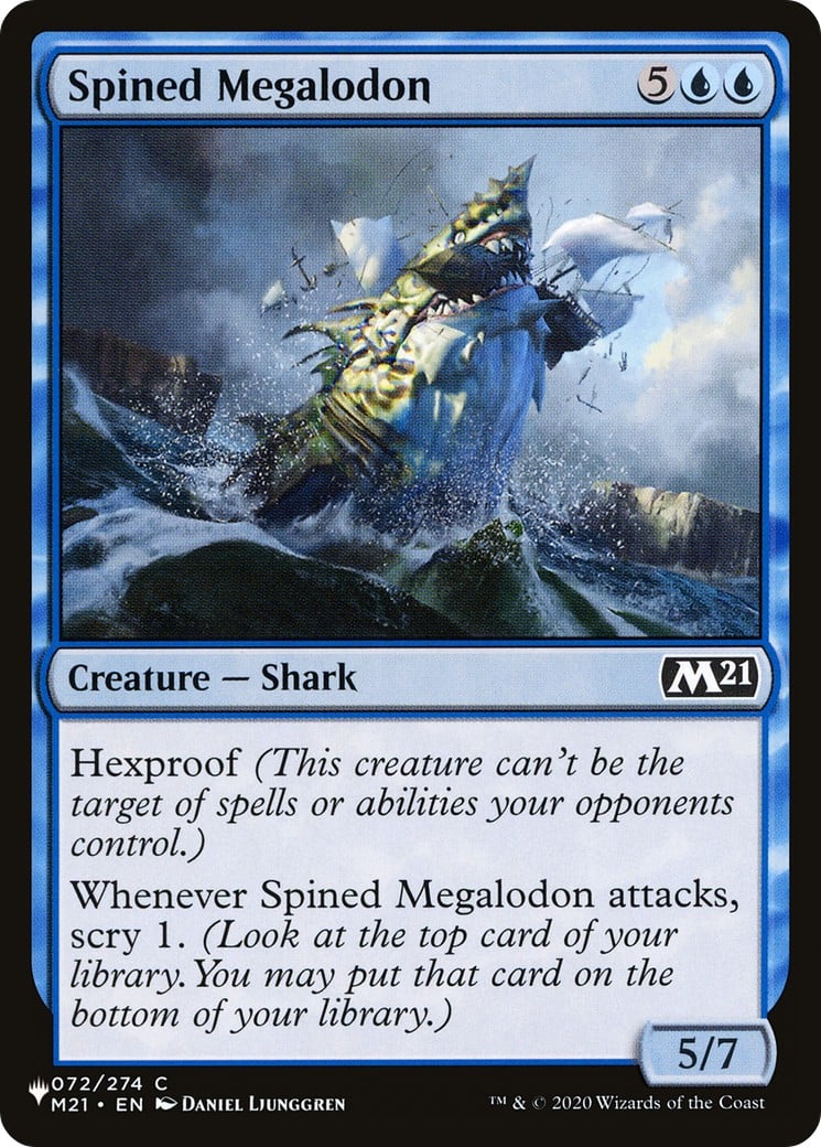 Spined Megalodon - Image 1