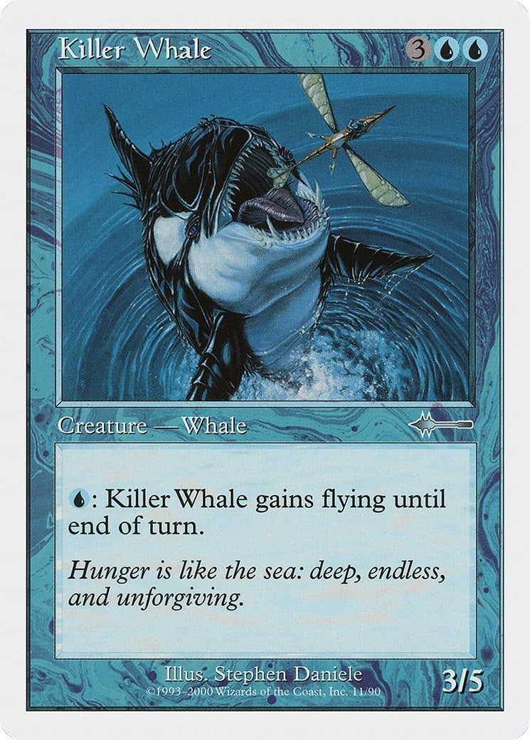 Killer Whale - Image 1
