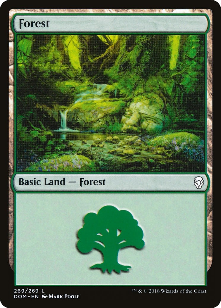 Forest - Image 1
