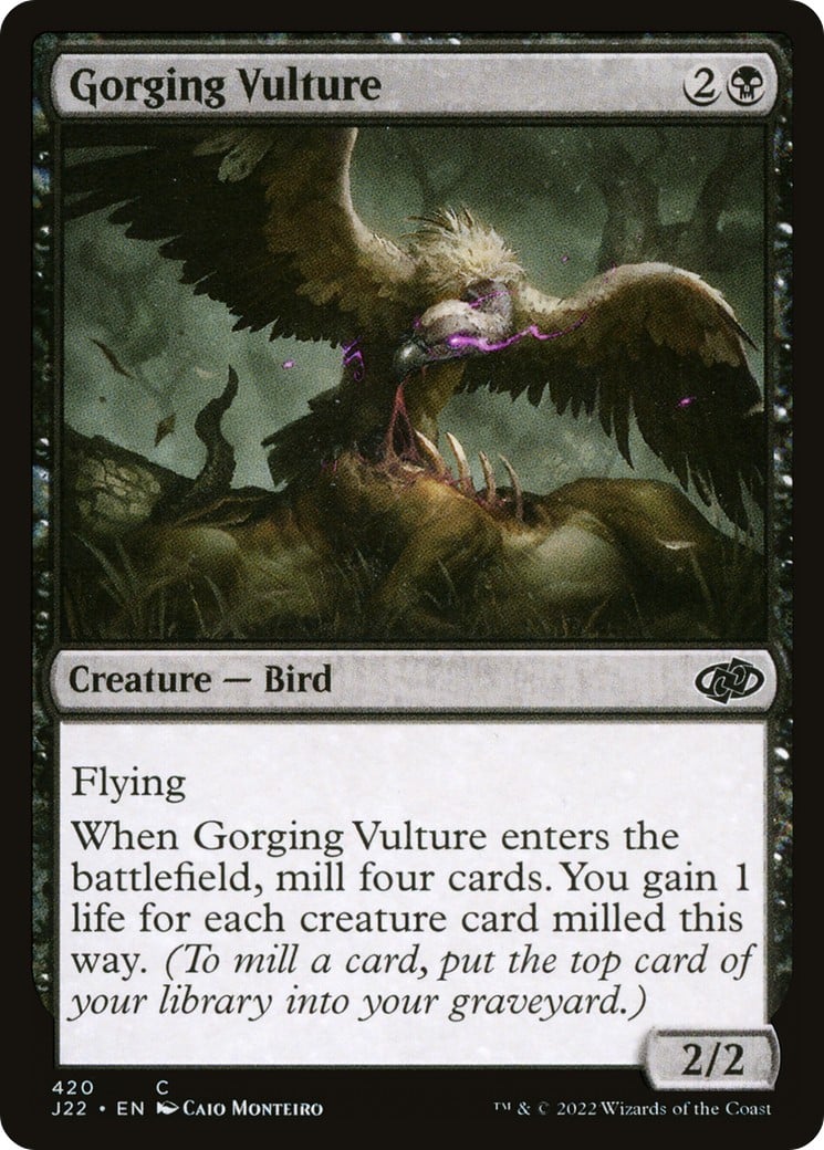 Gorging Vulture - Image 1