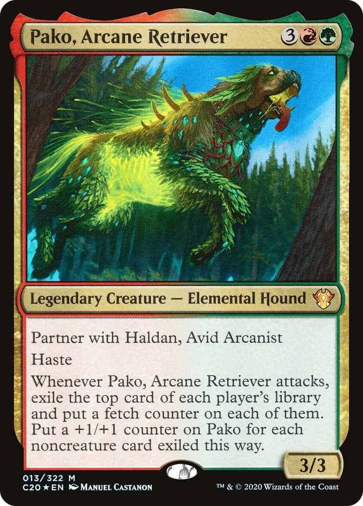 Pako, Arcane Retriever - Image 1
