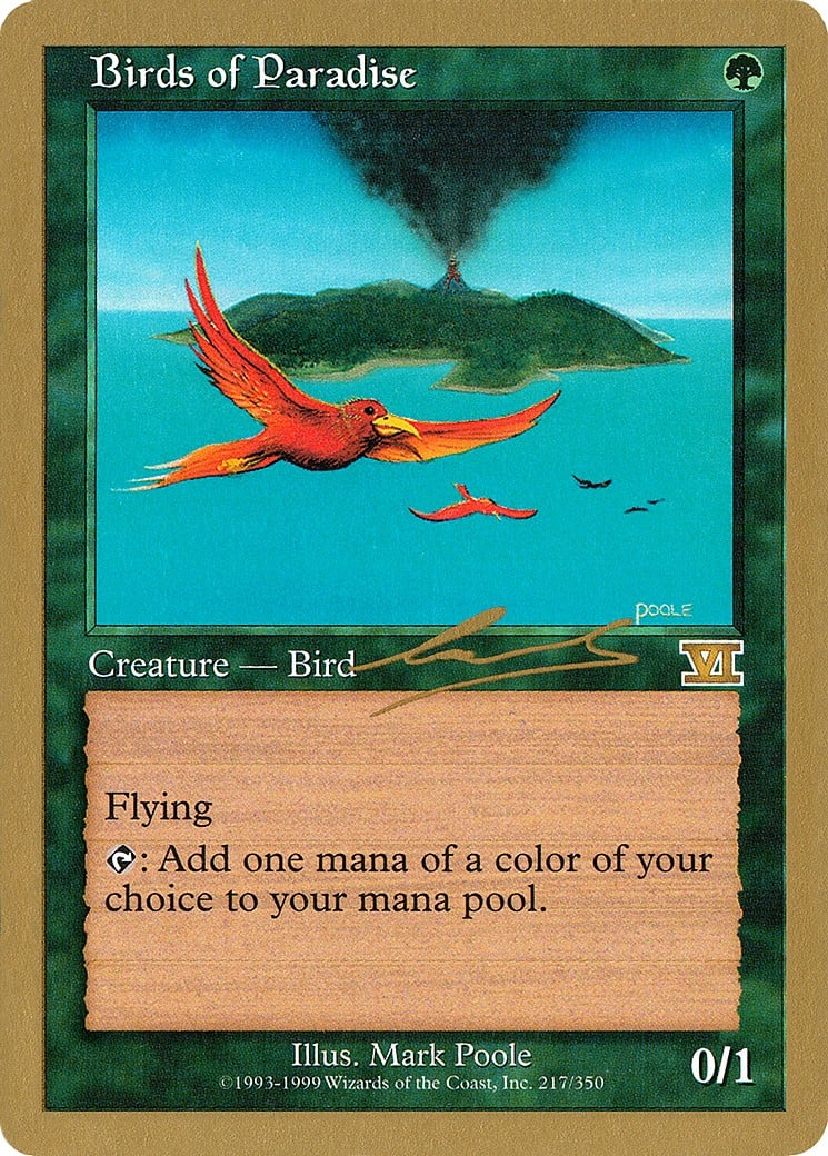 Birds of Paradise - Image 1