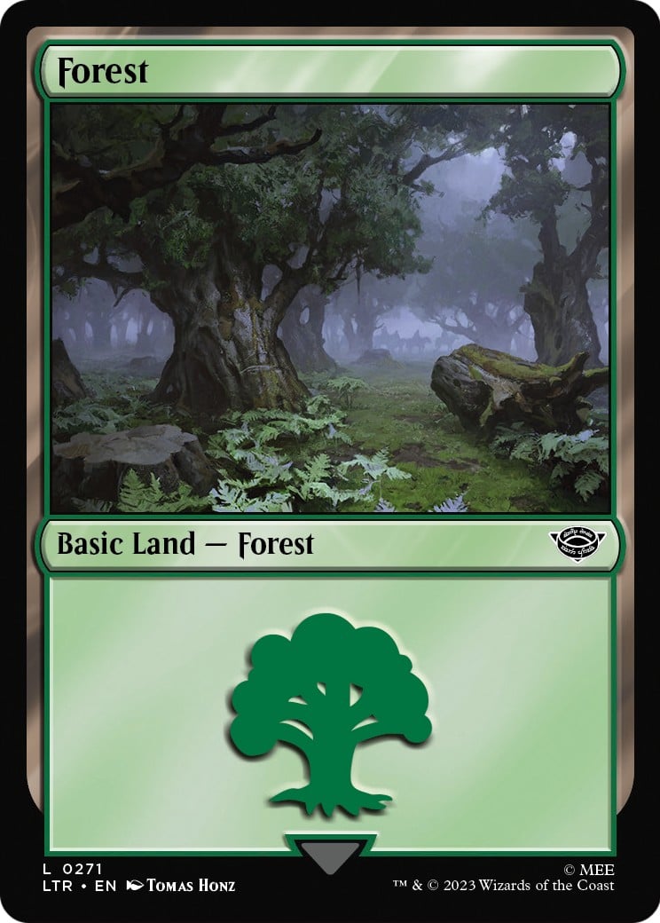 Forest - Image 1