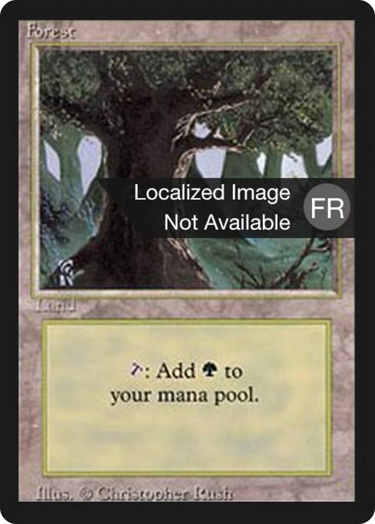 Forest - Image 1