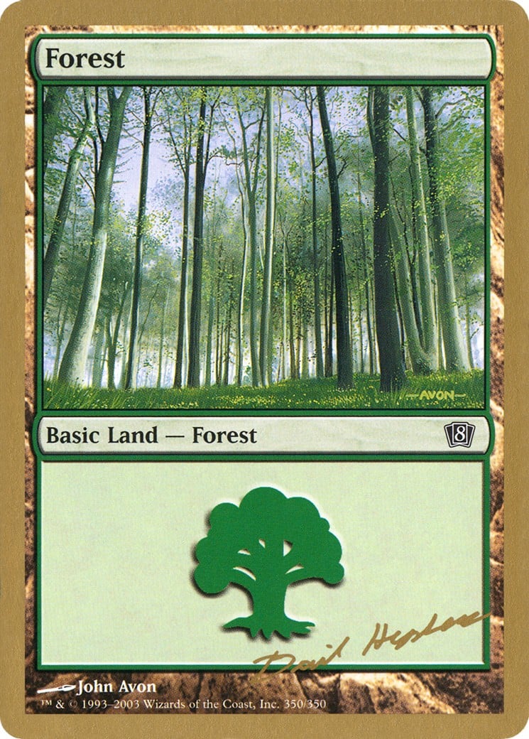 Forest - Image 1