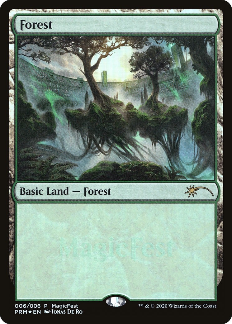 Forest - Image 1