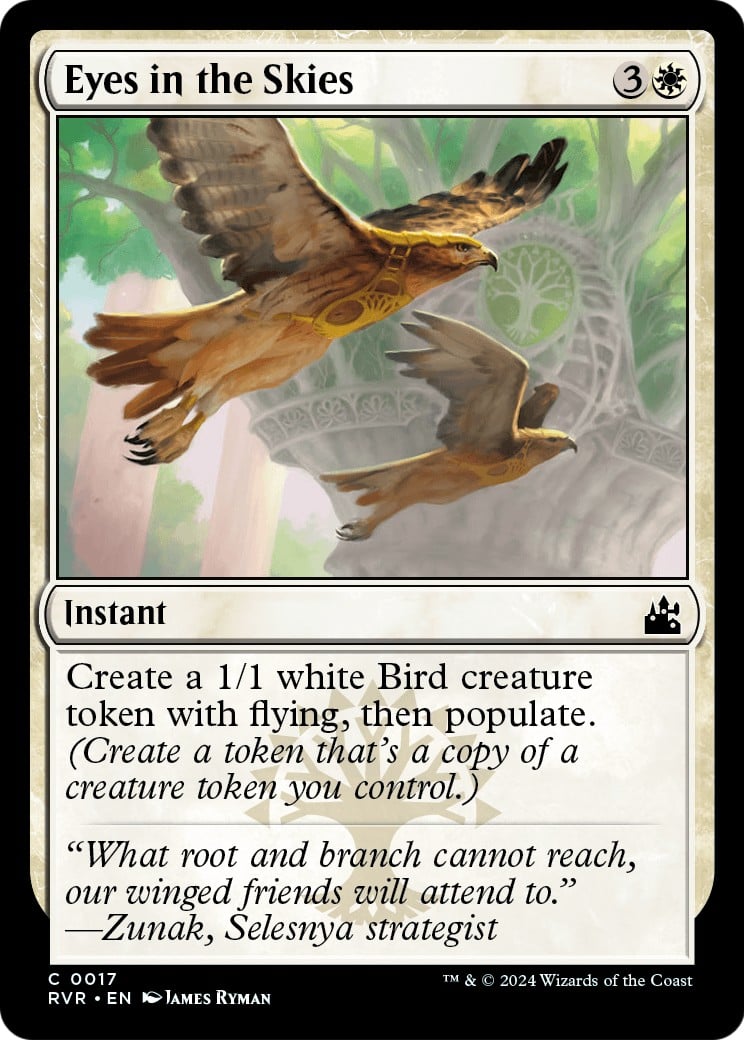 Eyes in the Skies - Image 1