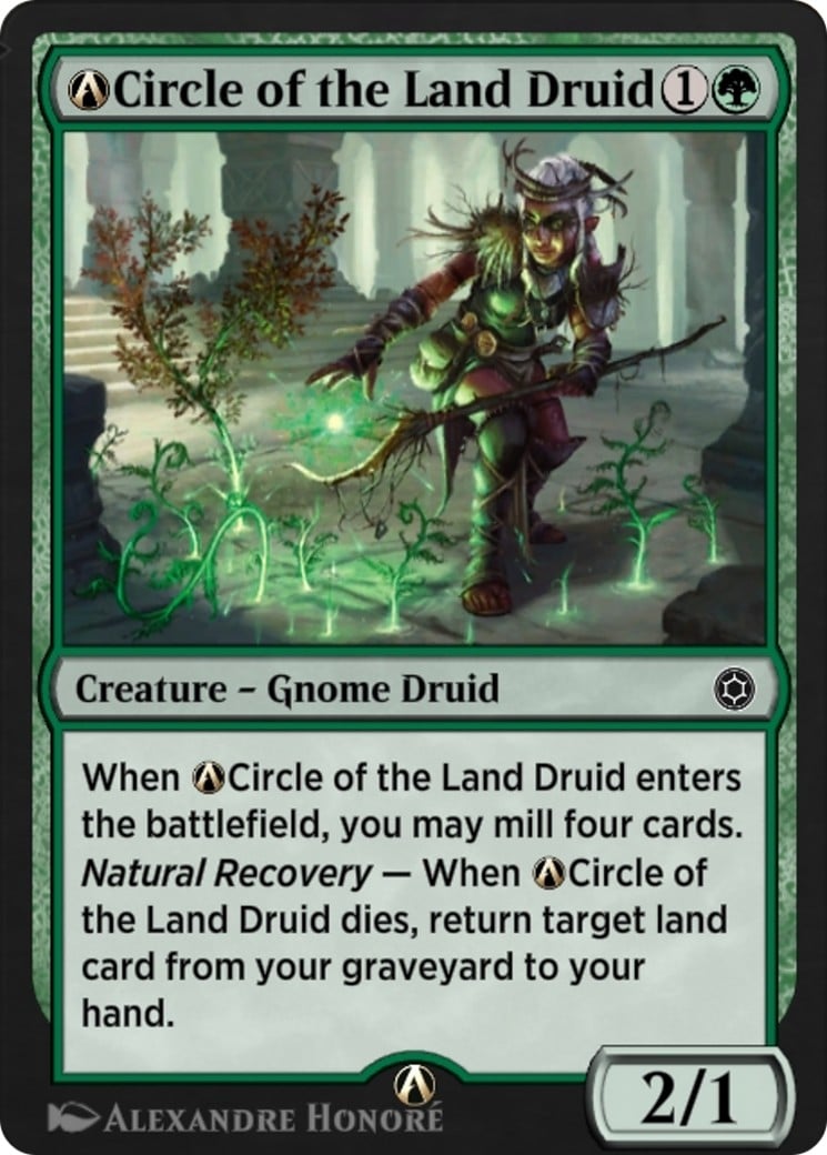 A-Circle of the Land Druid - Image 1