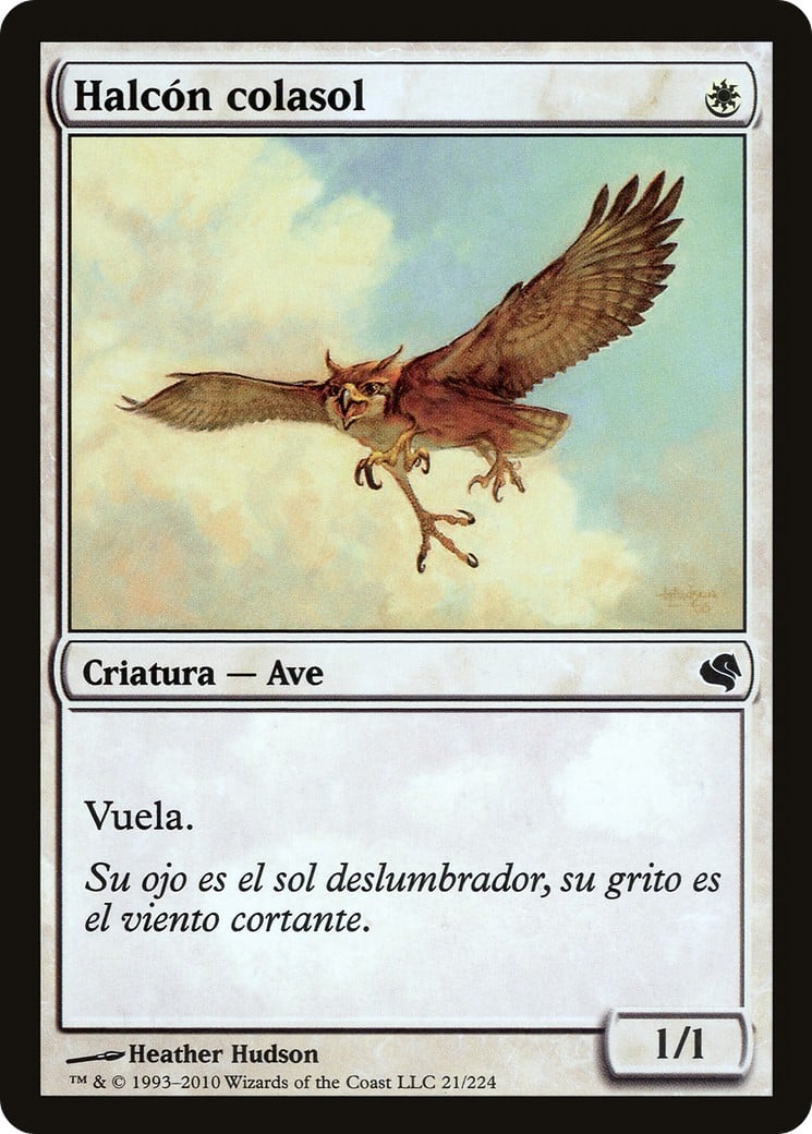 Suntail Hawk - Image 1