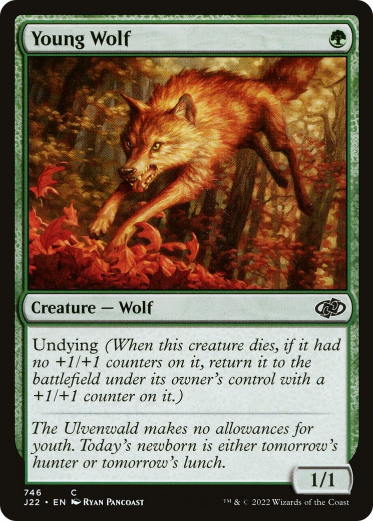 Young Wolf - Image 1