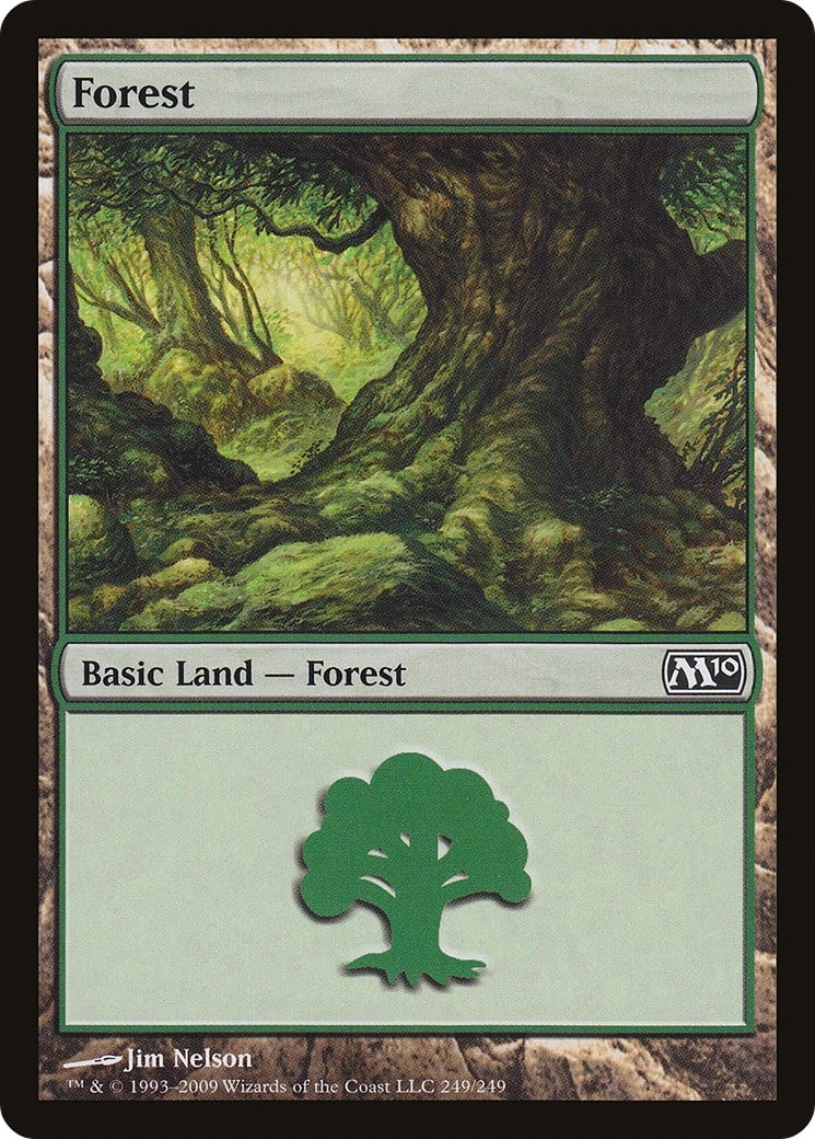 Forest - Image 1