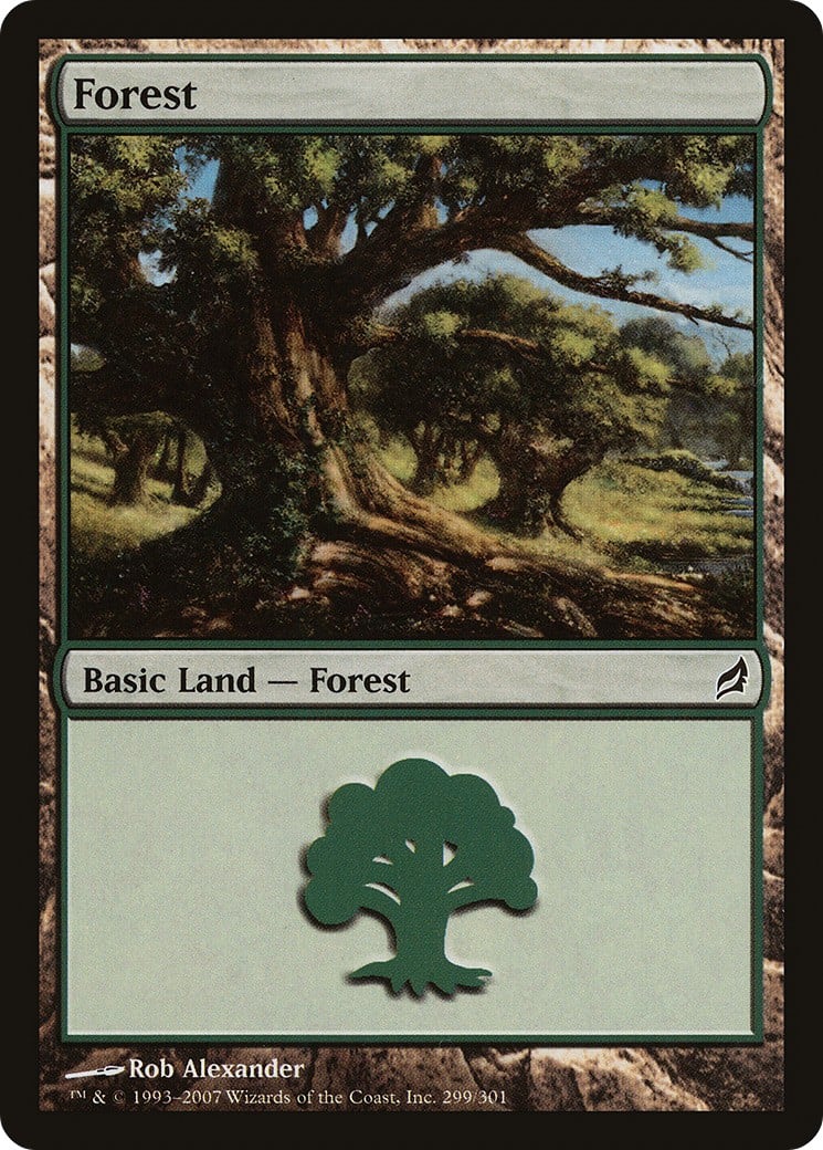 Forest - Image 1