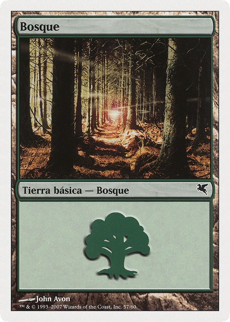 Forest - Image 1