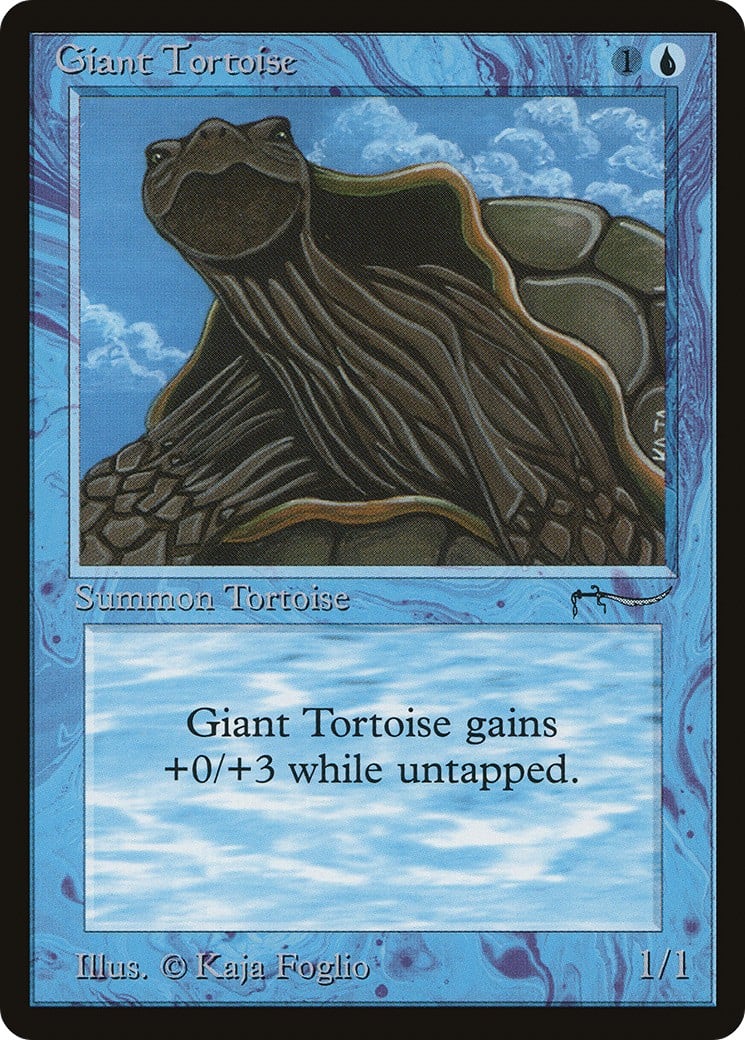 Giant Tortoise - Image 1
