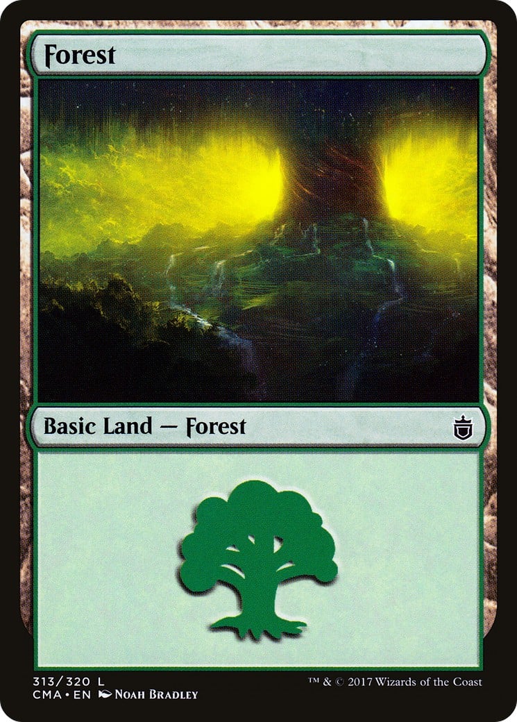 Forest - Image 1