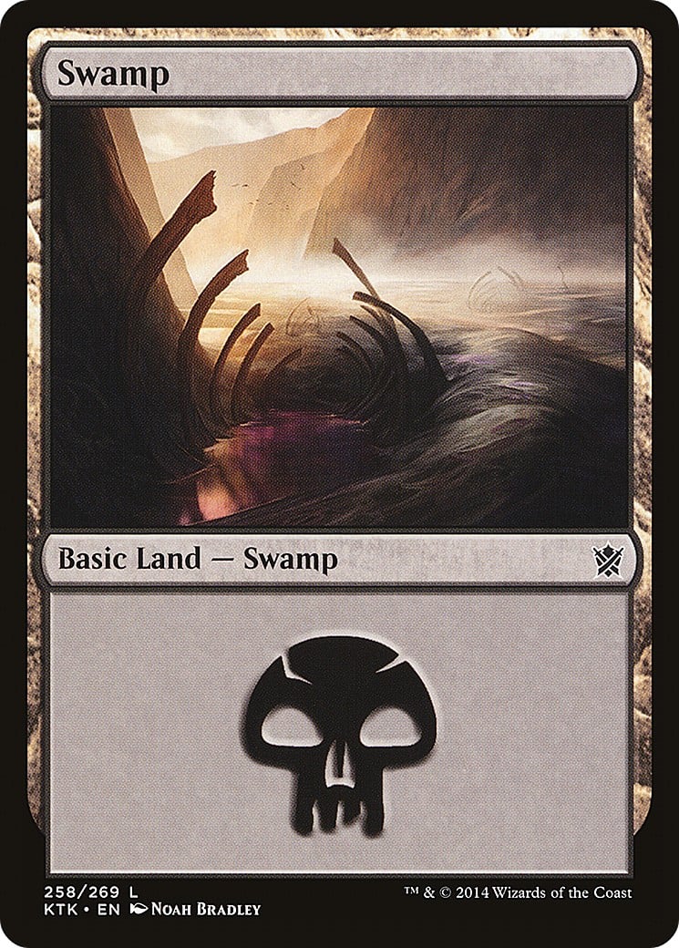 Swamp - Image 1