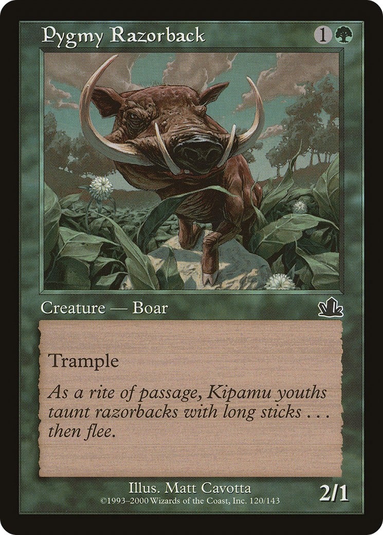 Pygmy Razorback - Image 1