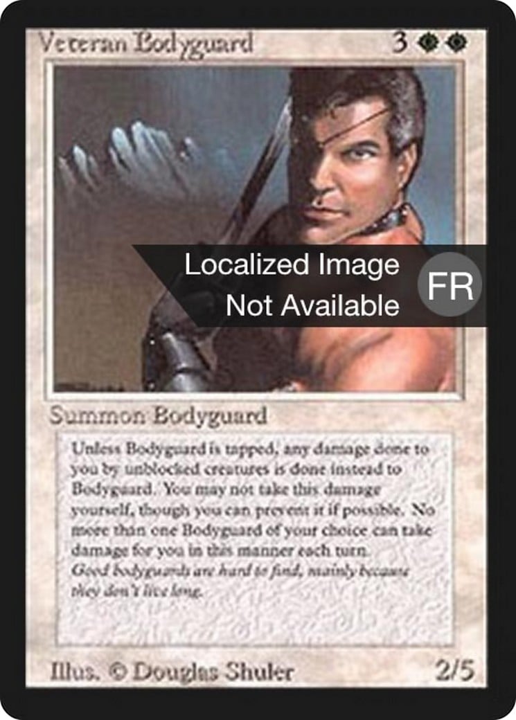 Veteran Bodyguard - Image 1