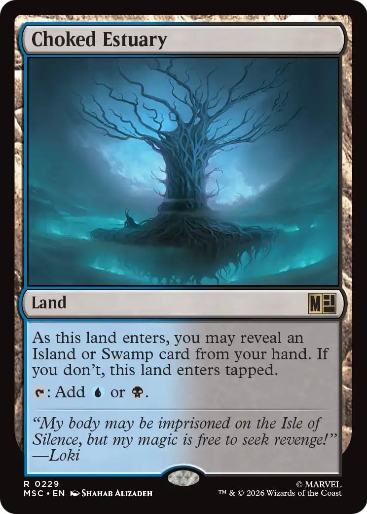 Choked Estuary - Image 1