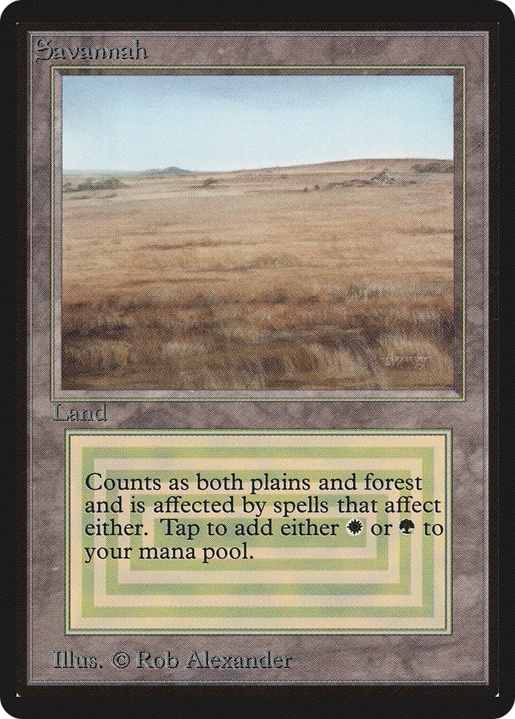 Savannah - Image 1