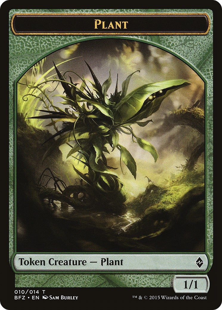 Plant - Image 1