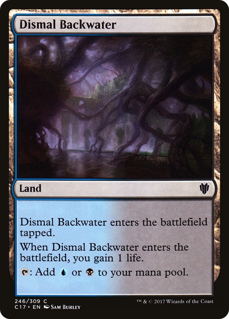 Dismal Backwater - Image 1