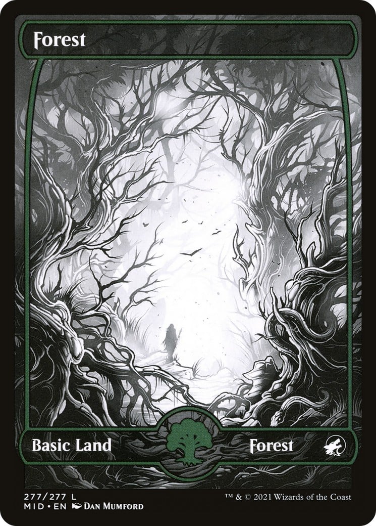 Forest - Image 1