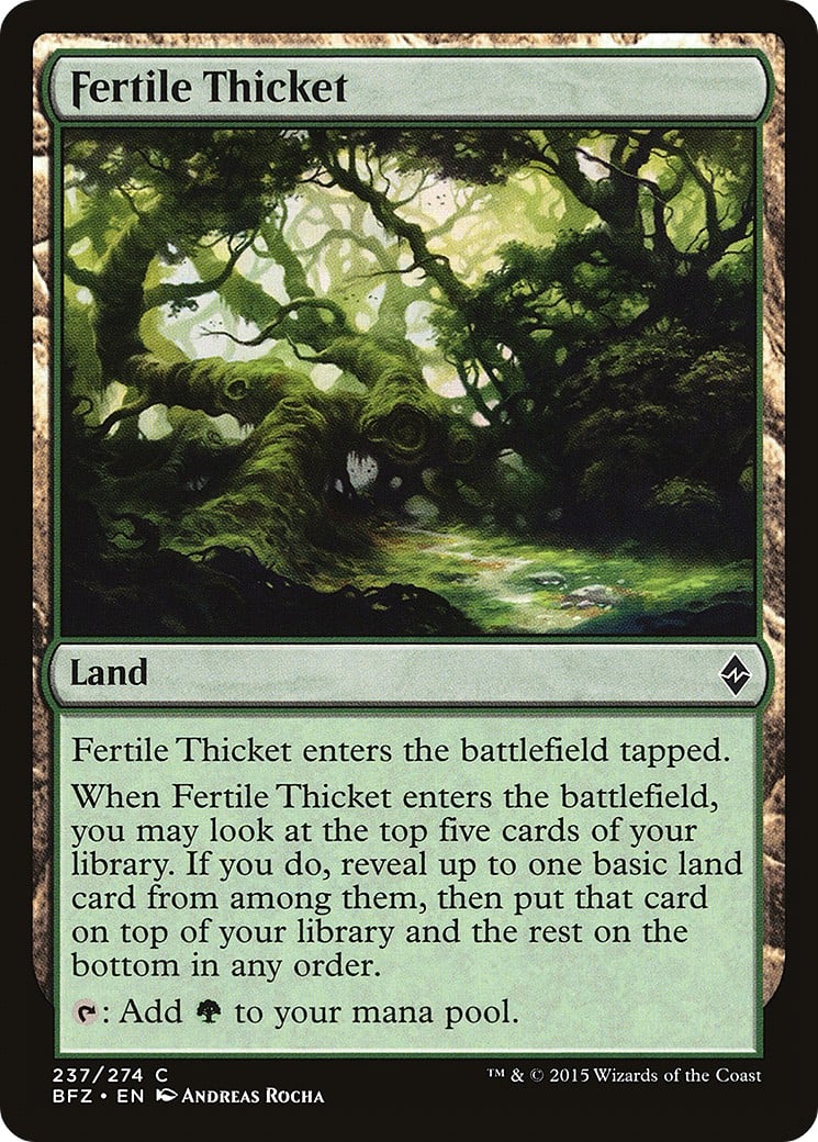 Fertile Thicket - Image 1