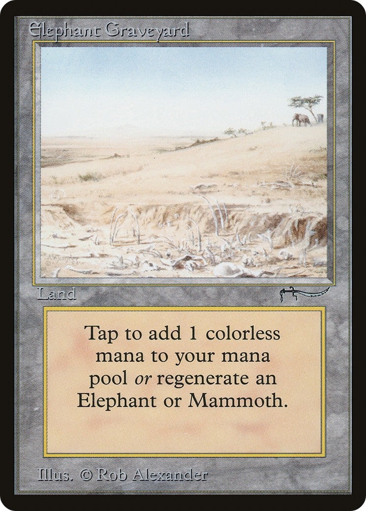 Elephant Graveyard - Image 1