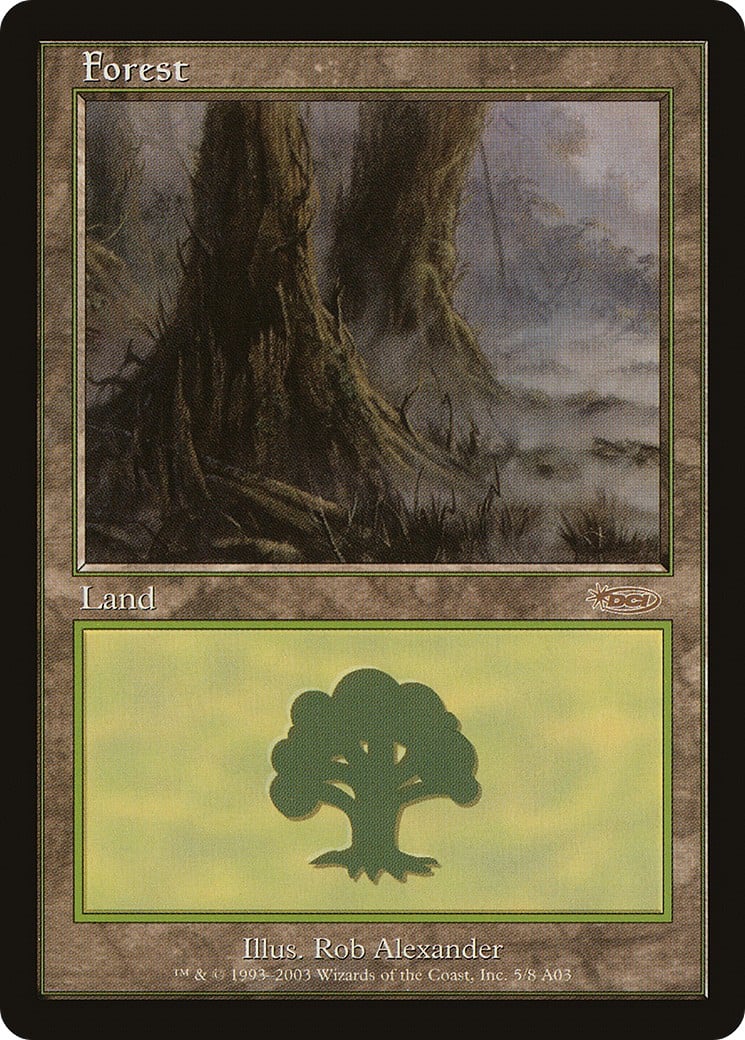 Forest - Image 1