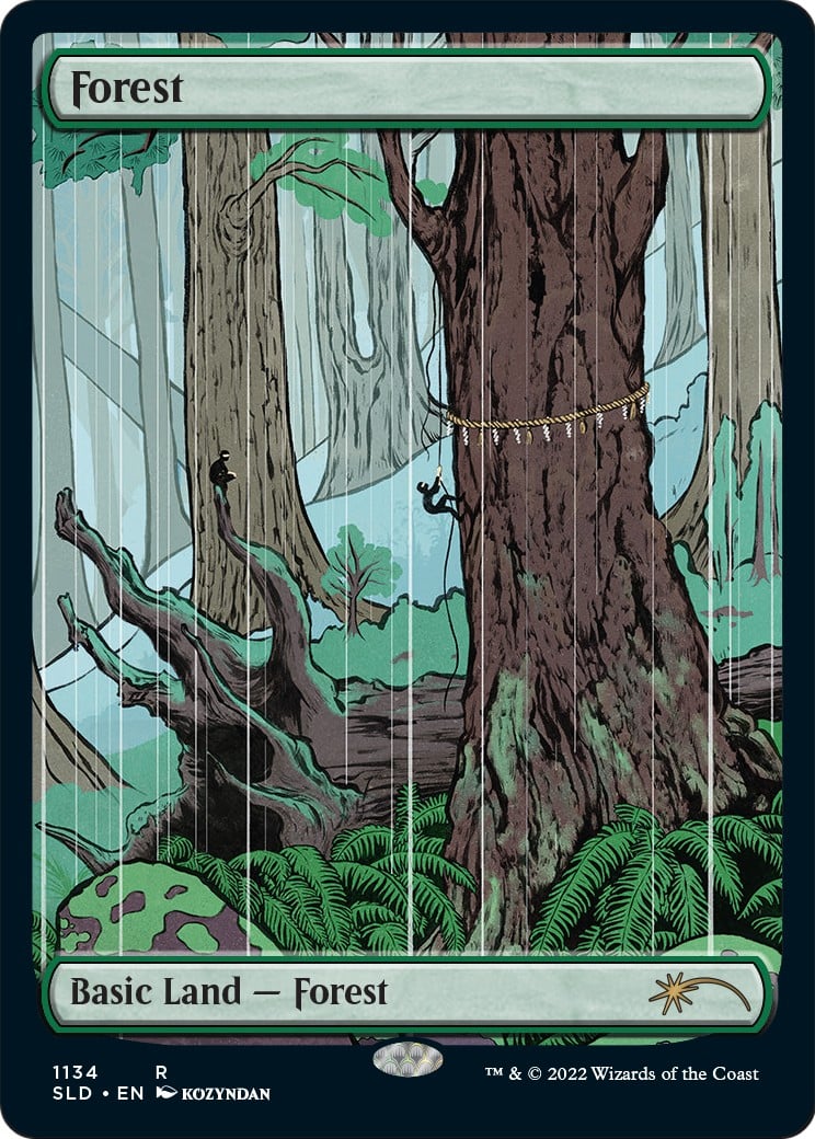 Forest - Image 1