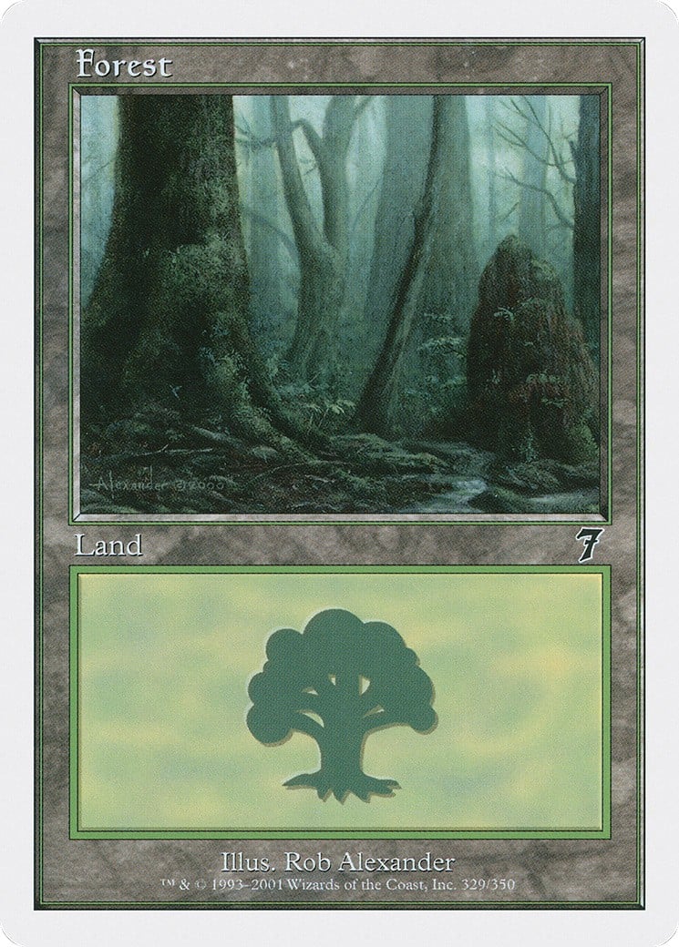 Forest - Image 1