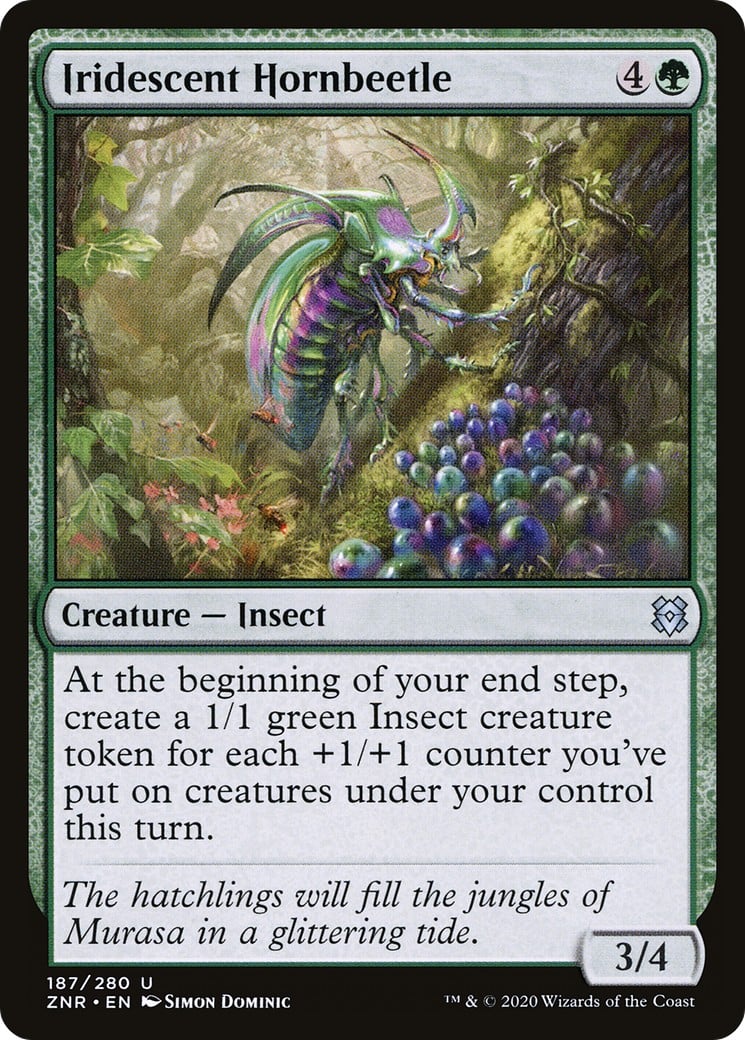 Iridescent Hornbeetle - Image 1