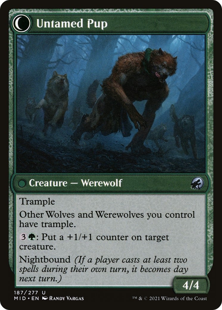 Hound Tamer // Untamed Pup thumbnail 2