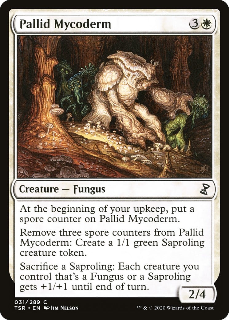 Pallid Mycoderm - Image 1