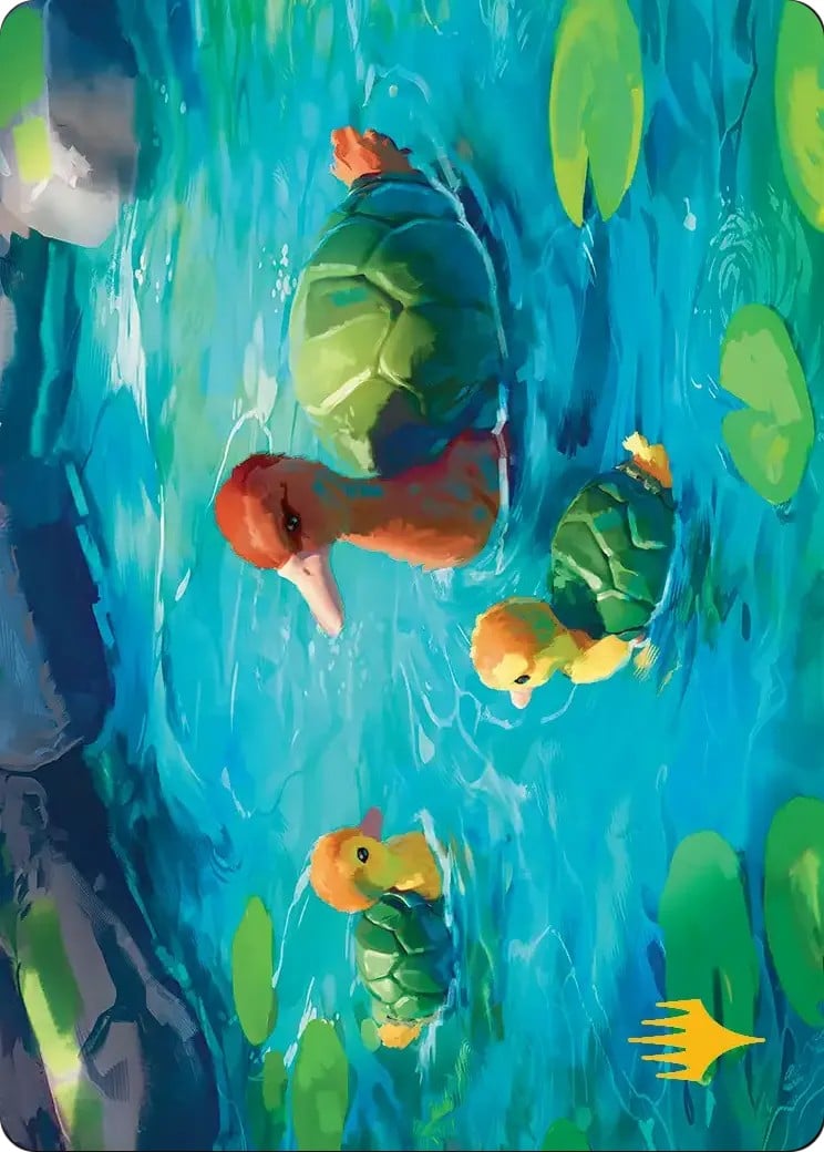 Turtle-Duck // Turtle-Duck - Image 1