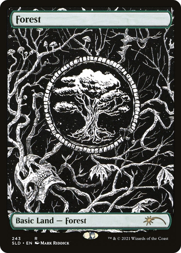 Forest - Image 1