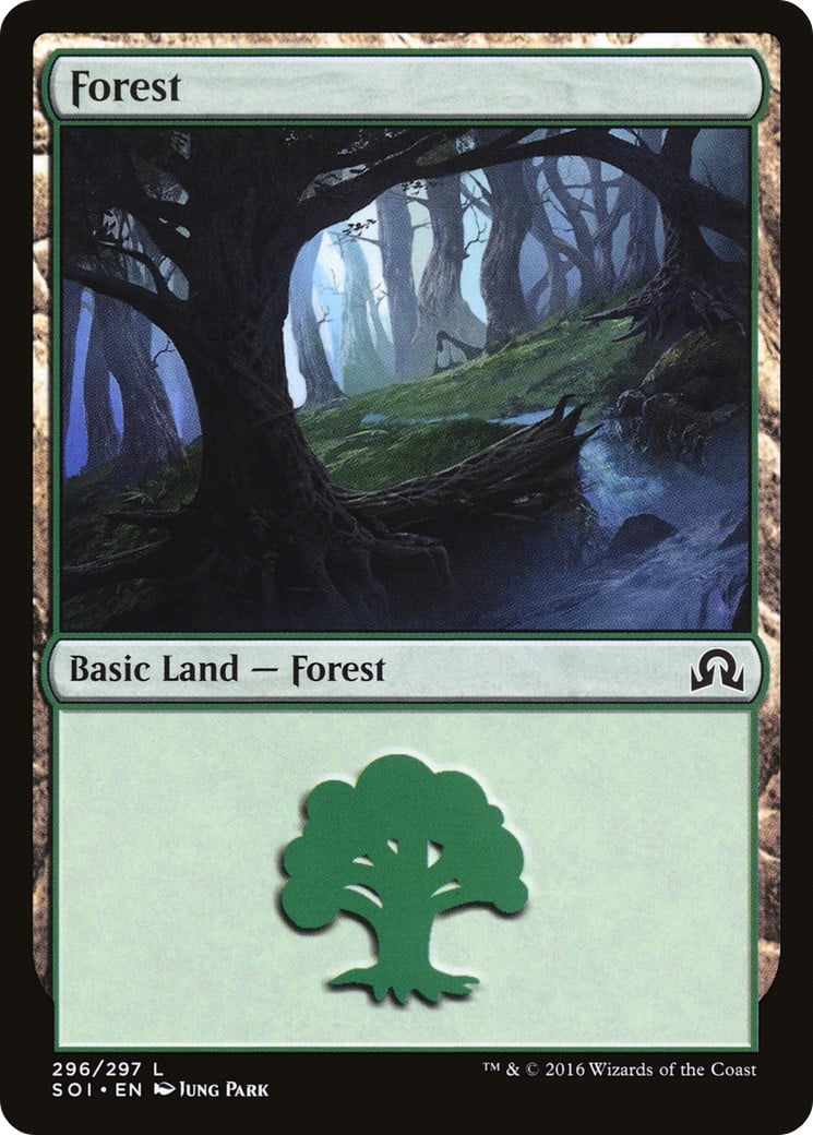 Forest - Image 1