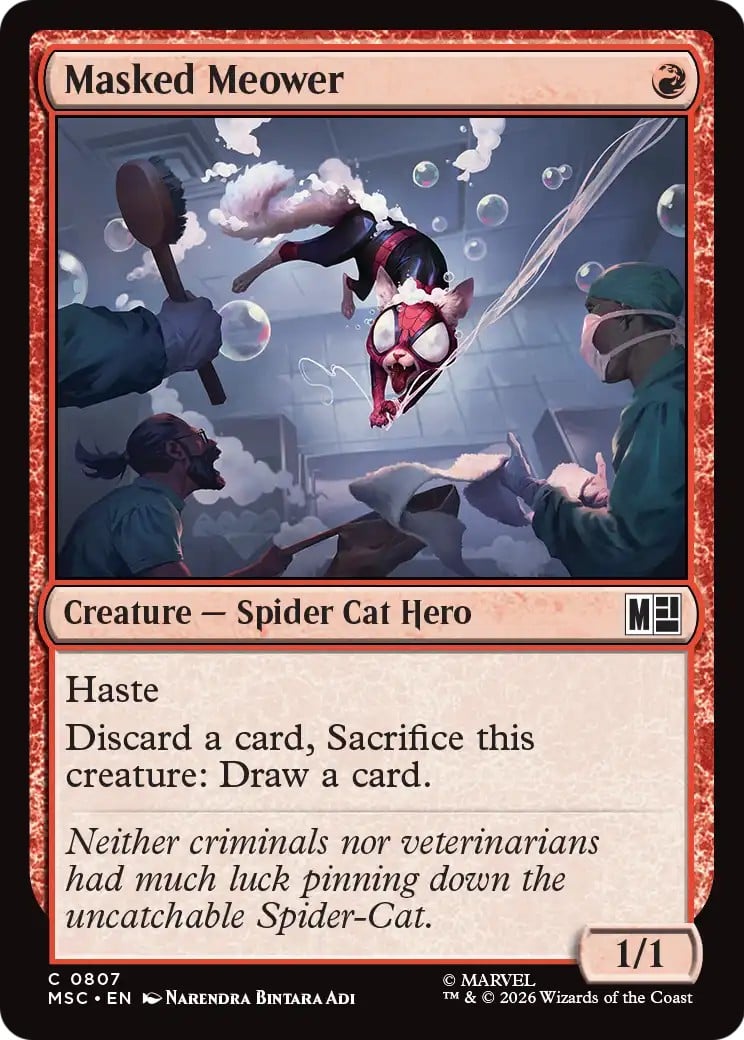Masked Meower - Image 1